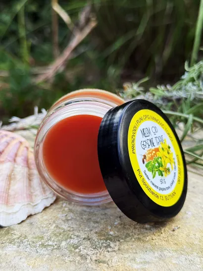 Foto: OGP Ivanović Tonči