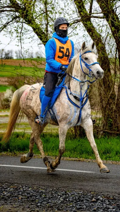 Haruž je dobio nagradu za najbolju kondiciju/Foto: KK Hrvatski sokol Daruvar