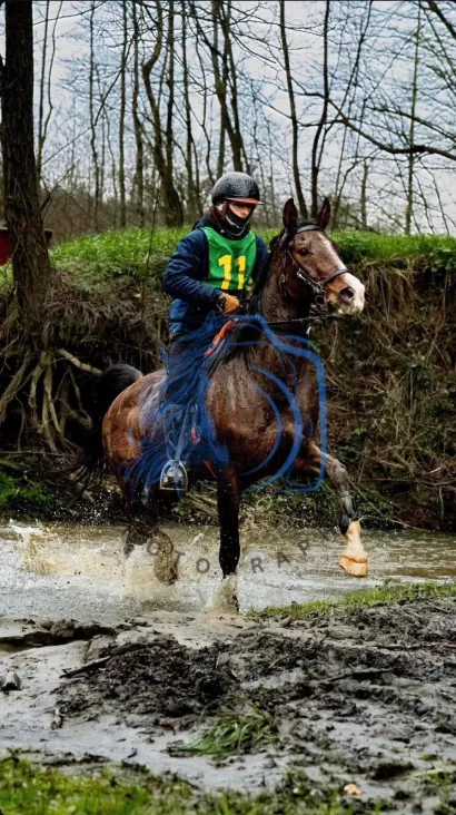 Leon i Lord bili su sjajni/Foto: KK Hrvatski sokol Daruvar