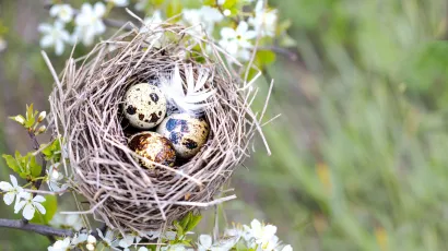 Foto: Freepik (Ilustracija)