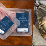 Foto: Ribnjačarstvo Končanica