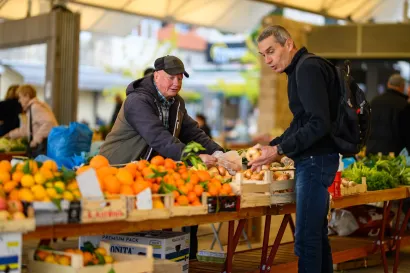 Foto: Tonči Plazibat/CROPIX