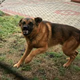 Foto: Jure Mi&scaron;ković/CROPIX (Ilustracija)