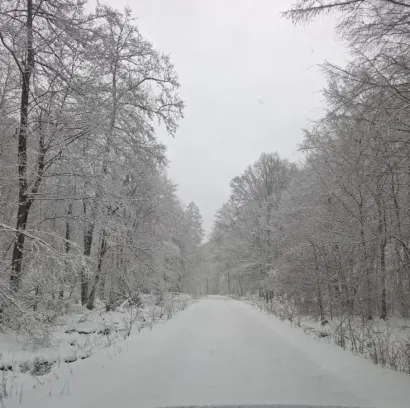 Zimska idila na Psunju/Foto: Tomo Marković