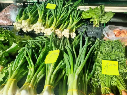 Mladi luk/Foto: Kristina Nehvatal