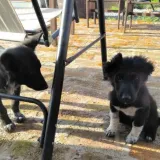 Foto: Općina Severin