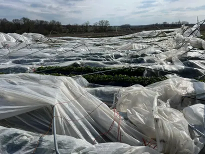 Novi plastenici nisu izdržali jak vjetar/Foto: Privatni album