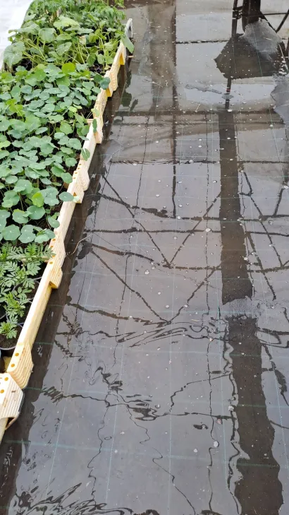 poplavljeni su plastenici Jasne Pranić u Bjelovaru/Foto: Privatni album