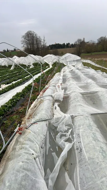 Razmjeri &scaron;tete na rovi&scaron;ćanskom području su golemi/Foto: Privatni album