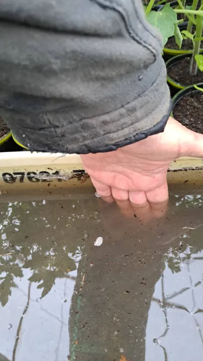 Foto: Privatni album