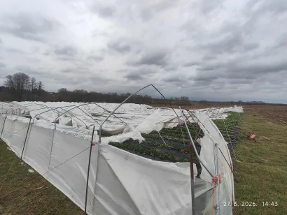 Foto: Privatni album