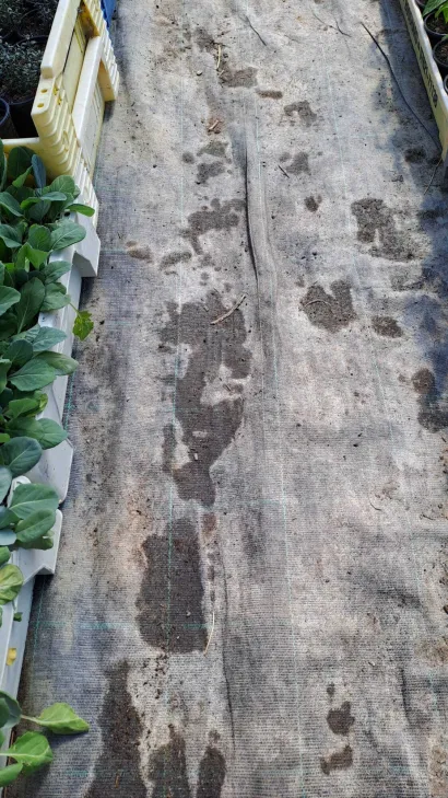 Foto: Privatni album