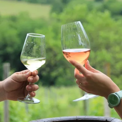 Daruvarski kraj poznat je po dobroj kapljici/Foto: Privatni album 