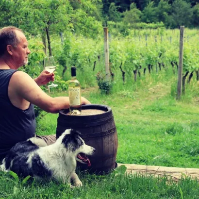 Idilični prizori iz Daruvarskih Vinograda/Foto: Privatni album