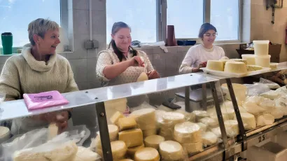 Foto: Gradska tržnica Daruvar