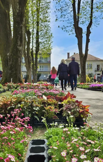 Foto: Nikica Puhalo/MojPortal.hr