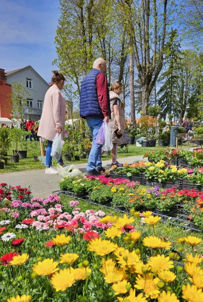 Foto: Nikica Puhalo/MojPortal.hr
