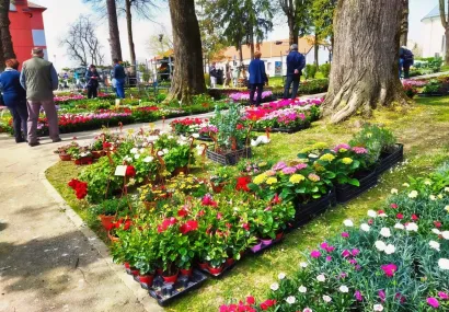 Foto: Leon Puhalo/MojPortal.hr