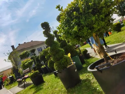 Foto: Leon Puhalo/MojPortal.hr