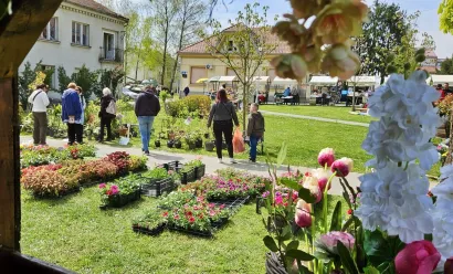 Foto: Nikica Puhalo/MojPortal.hr