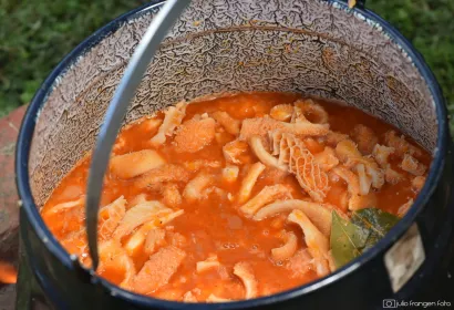 Veselo se pu&scaron;ilo iz natjecateljskih lonaca/Foto: Julio Frangen