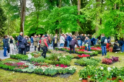 Julijev park kao jedan od najljep&scaron;ih u Hrvatskoj idealna je lokacija za ovakvu manifestaciju/Foto: Predrag Uskoković/Grad Daruvar