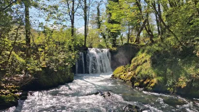 Priroda je odu&scaron;evila Gare&scaron;čane/Foto: Udruga Lipa