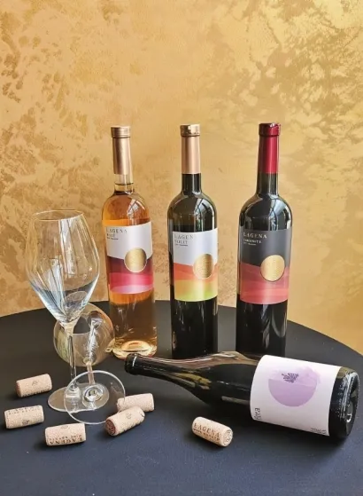 Palermo već godinama surađuje s Vinarijom Lagena iz Kutine/Surađju s vinaFoto: Privatni album