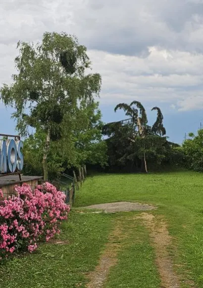 Foto: Čitatelj