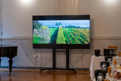 Prikazan je i zanimljiv film o Erdutskim vinogradima/Foto: Predrag Uskoković