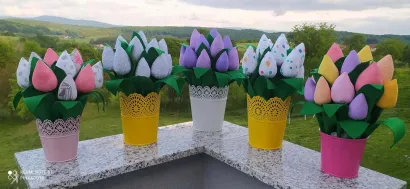 Tulipani koje ima skoro svaka kuća u Daruvaru/Foto: Privatni album
