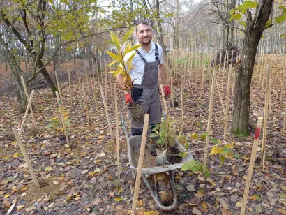 Stabla sade, kažu, za buduće generacije/Svake godine Bernati posade na tisuće stabala